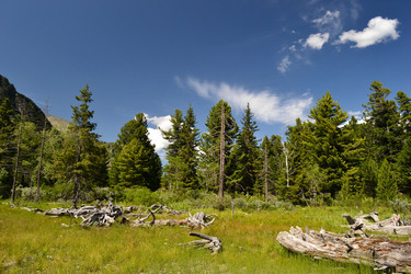 Similar image 1168780