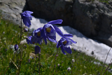 Similar image 1168785