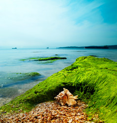 Similar image 1168790