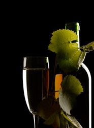 Similar image 1168791