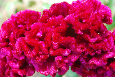 Similar image 1168807