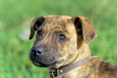 Similar image 1168811