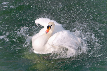 Similar image 1168815