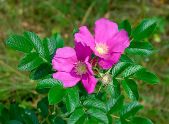 Similar image 1168818