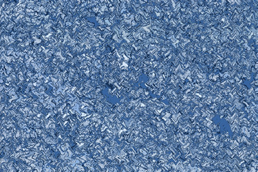 Similar image 1168820