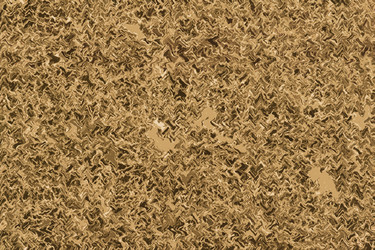 Similar image 1168821