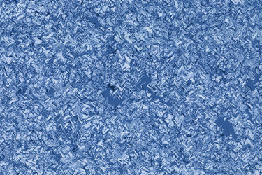 Similar image 1168823