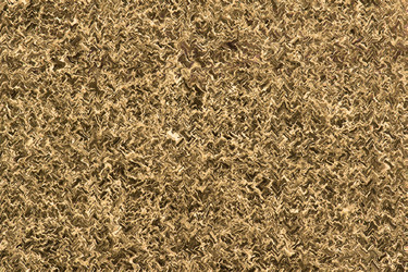 Similar image 1168826