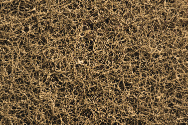 Similar image 1168830