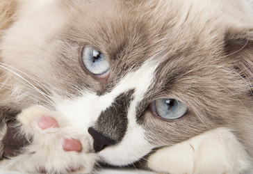 Similar image 1168833