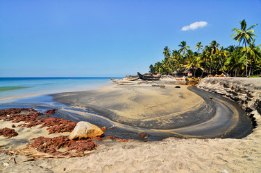 Similar image 1168861