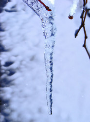 Similar image 1168889