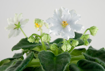 Similar image 1168897