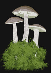 Similar image 1168904