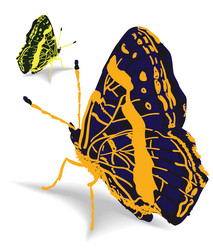 Similar image 1168905