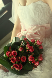 Similar image 1168911