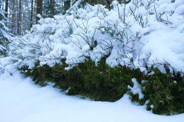 Similar image 1168913