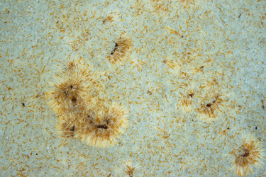 Similar image 1168915