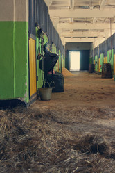 Similar image 1168917