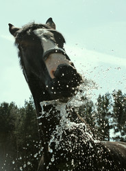 Similar image 1168918