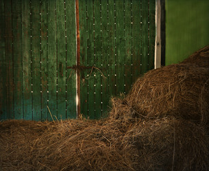 Similar image 1168919