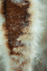 Similar image 1168923