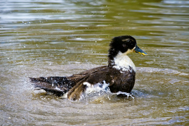 Similar image 1168930