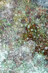 Similar image 1168947