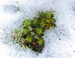 Similar image 1168948