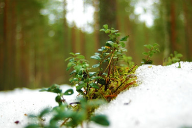 Similar image 1168950