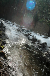 Similar image 1168951