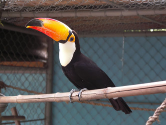 Similar image 1168974