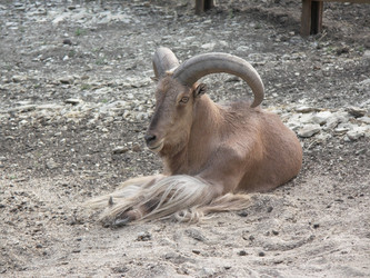 Similar image 1168975