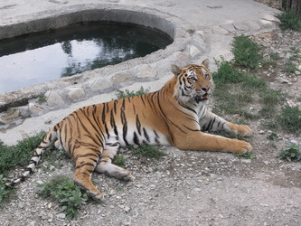 Similar image 1168977