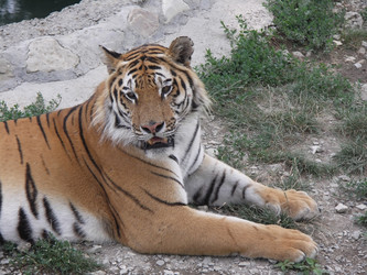 Similar image 1168979