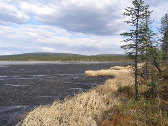 Similar image 1168981