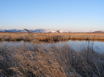 Similar image 1168984