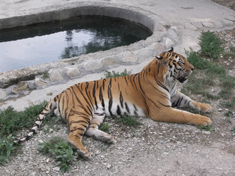 Similar image 1168985