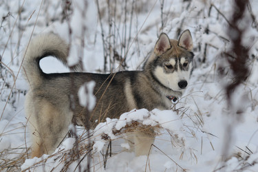 Similar image 1169024