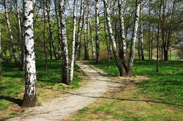 Similar image 1169059