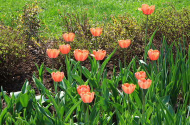 Similar image 1169062