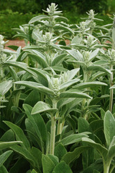 Similar image 1169077