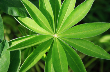 Similar image 1169079