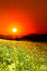 Similar image 1169091