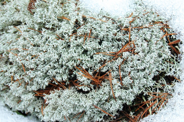 Similar image 1169095