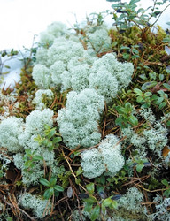 Similar image 1169098