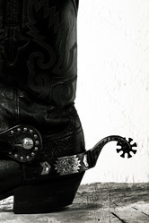 Similar image 1169122