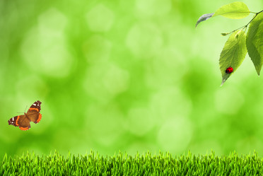 Similar image 1169125