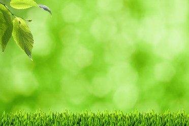 Similar image 1169151