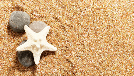 Similar image 1169152